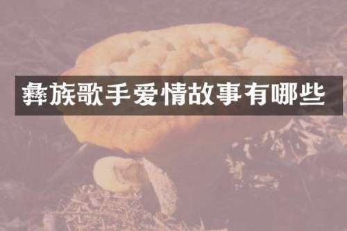 彝族歌手爱情故事有哪些
