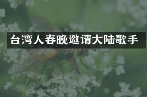台湾人邀请大陆歌手
