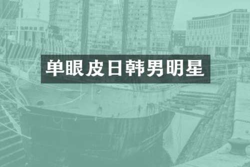 单眼皮日韩男明星