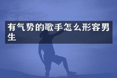 有气势的歌手怎么形容男生