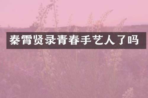 秦霄贤录青春手艺人了吗