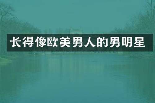 长得像欧美男人的男明星