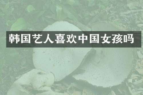 韩国艺人喜欢中国女孩吗