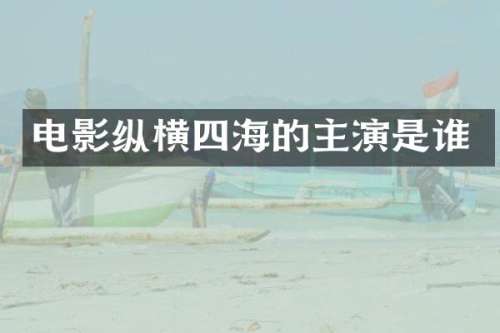 电影纵横四海的主演是谁