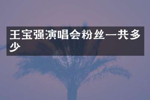 王宝强演唱会粉丝一共多少