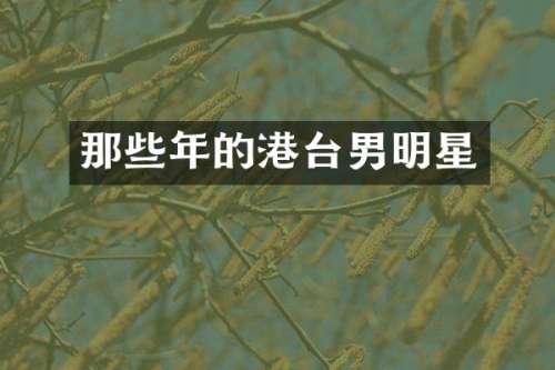 那些年的港台男明星