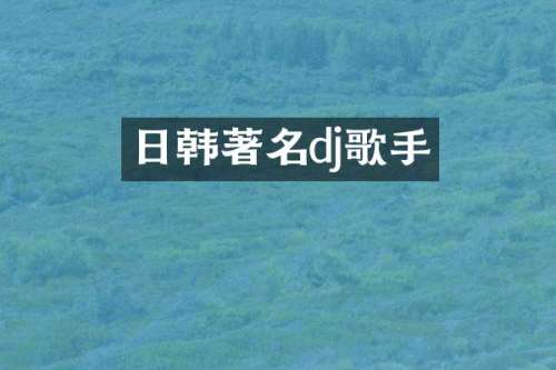 日韩著名dj歌手