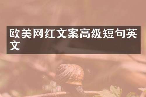 欧美网红文案高级短句英文