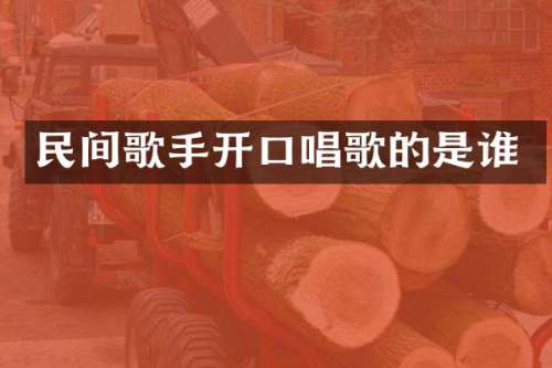 民间歌手开口唱歌的是谁