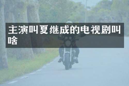 主演叫夏继成的电视剧叫啥