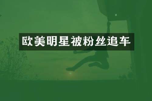 欧美明星被粉丝追车