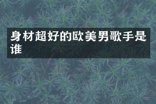 身材超好的欧美男歌手是谁