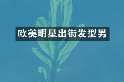 欧美明星出街发型男