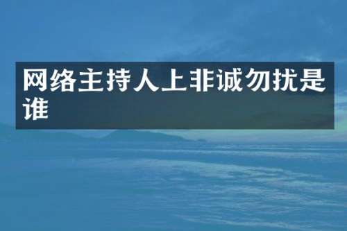 网络主持人上非诚勿扰是谁