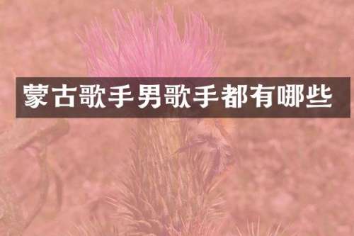 蒙古歌手男歌手都有哪些