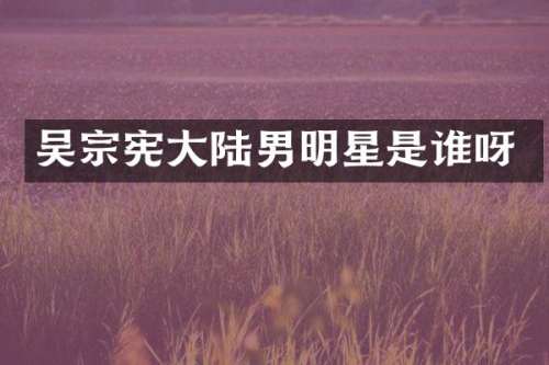 吴宗宪大陆男明星是谁呀