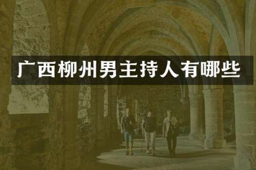 广西柳州男主持人有哪些
