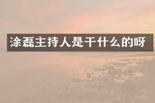 涂磊主持人是干什么的呀