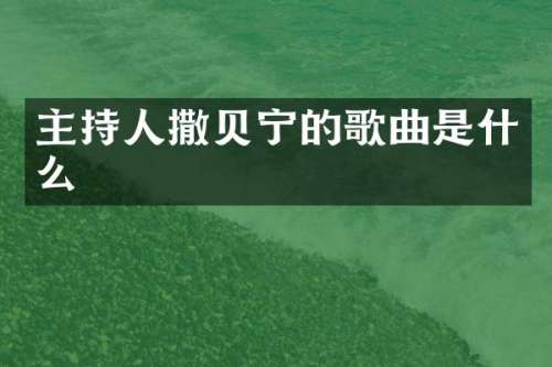主持人撒贝宁的歌曲是什么