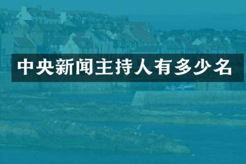 中央新闻主持人有多少名