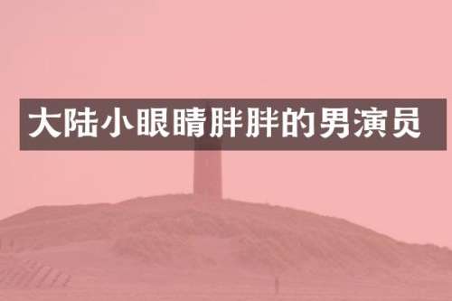 大陆小眼睛胖胖的男演员