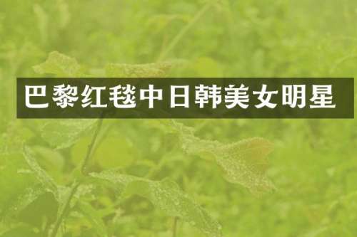 巴黎红毯中日韩明星