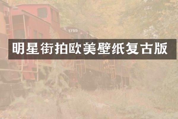 明星街拍欧美壁纸复古版