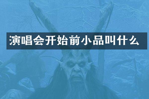 演唱会开始前小品叫什么
