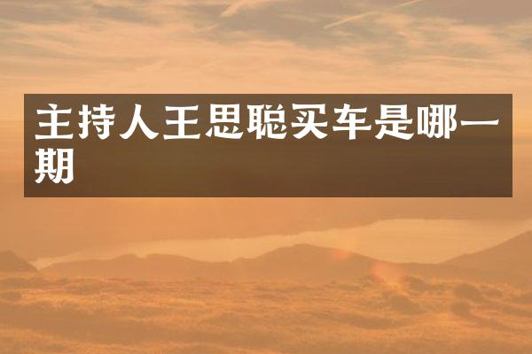 主持人王思聪买车是哪一期