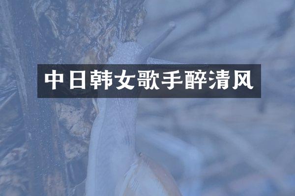 中日韩女歌手醉清风