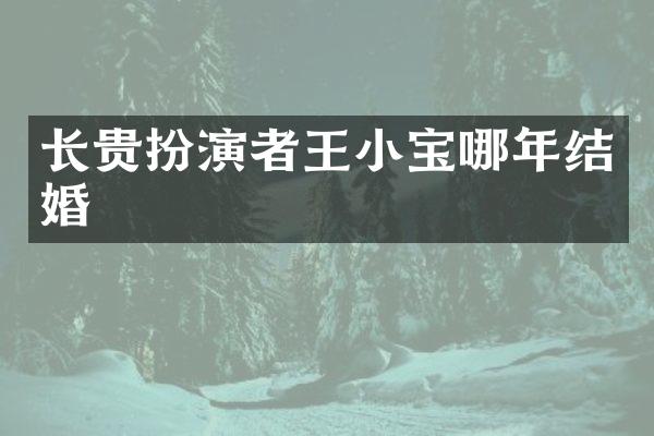 长贵扮演者王小宝哪年结婚