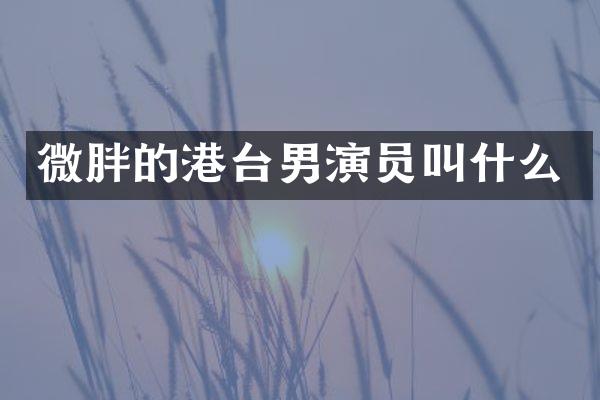 微胖的港台男演员叫什么