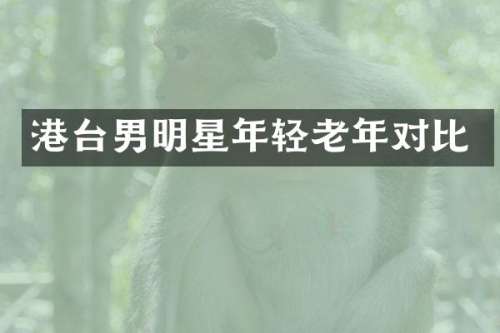 港台男明星年轻老年对比
