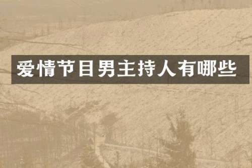 爱情节目男主持人有哪些