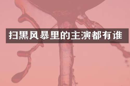 扫黑风暴里的主演都有谁