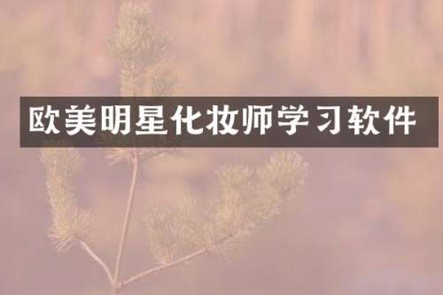 欧美明星化妆师学习软件