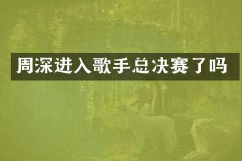 进入歌手总决赛了吗
