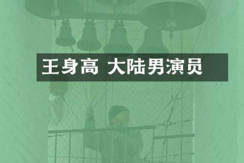 王霙身高 大陆男演员