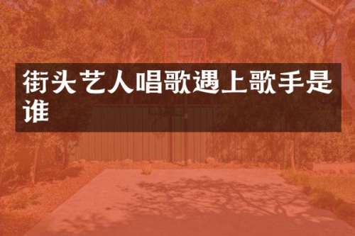 街头艺人唱歌遇上歌手是谁