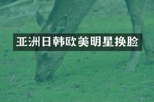 亚洲日韩欧美明星换脸