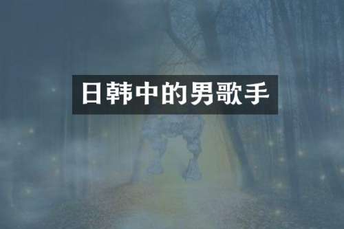 日韩中的男歌手