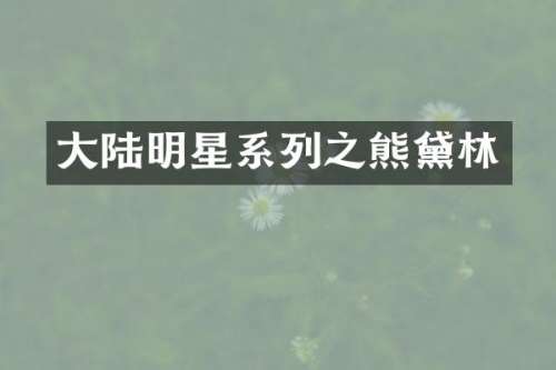 大陆明星系列之熊黛林