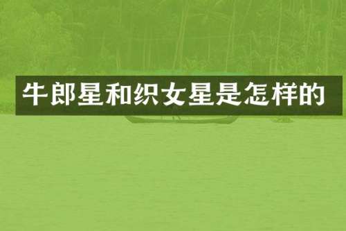 牛郎星和织女星是怎样的
