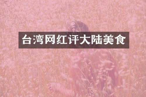 台湾网红评大陆美食