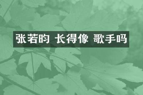 张若昀 长得像 歌手吗