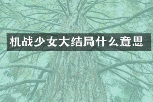机战少女大结局什么意思