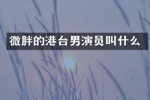 微胖的港台男演员叫什么