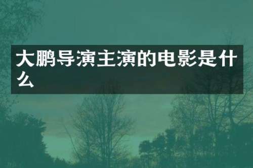 大鹏导演主演的电影是什么