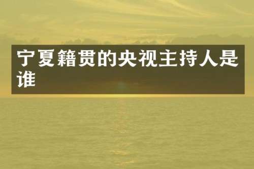 宁夏籍贯的央视主持人是谁