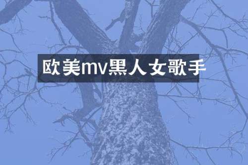 欧美mv黑人女歌手